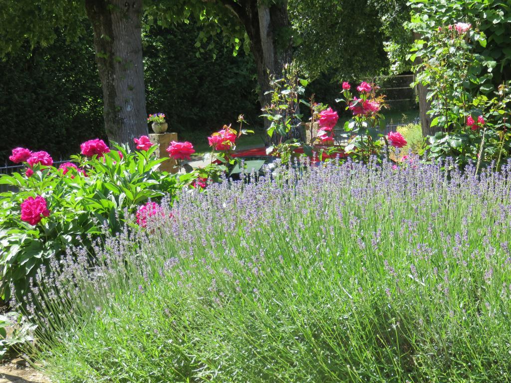 Les Quatre Saisons Bed & Breakfast Moitron-sur-Sarthe ภายนอก รูปภาพ