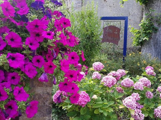 Les Quatre Saisons Bed & Breakfast Moitron-sur-Sarthe ภายนอก รูปภาพ
